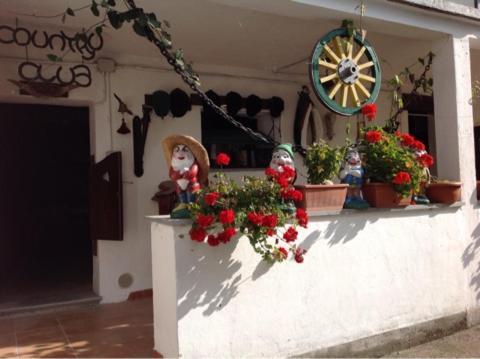 Peter Ranch 3 Apartment Vico Canavese Екстериор снимка